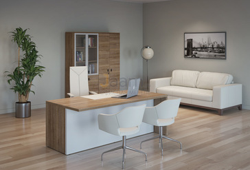 Кабинет руководителя Terra